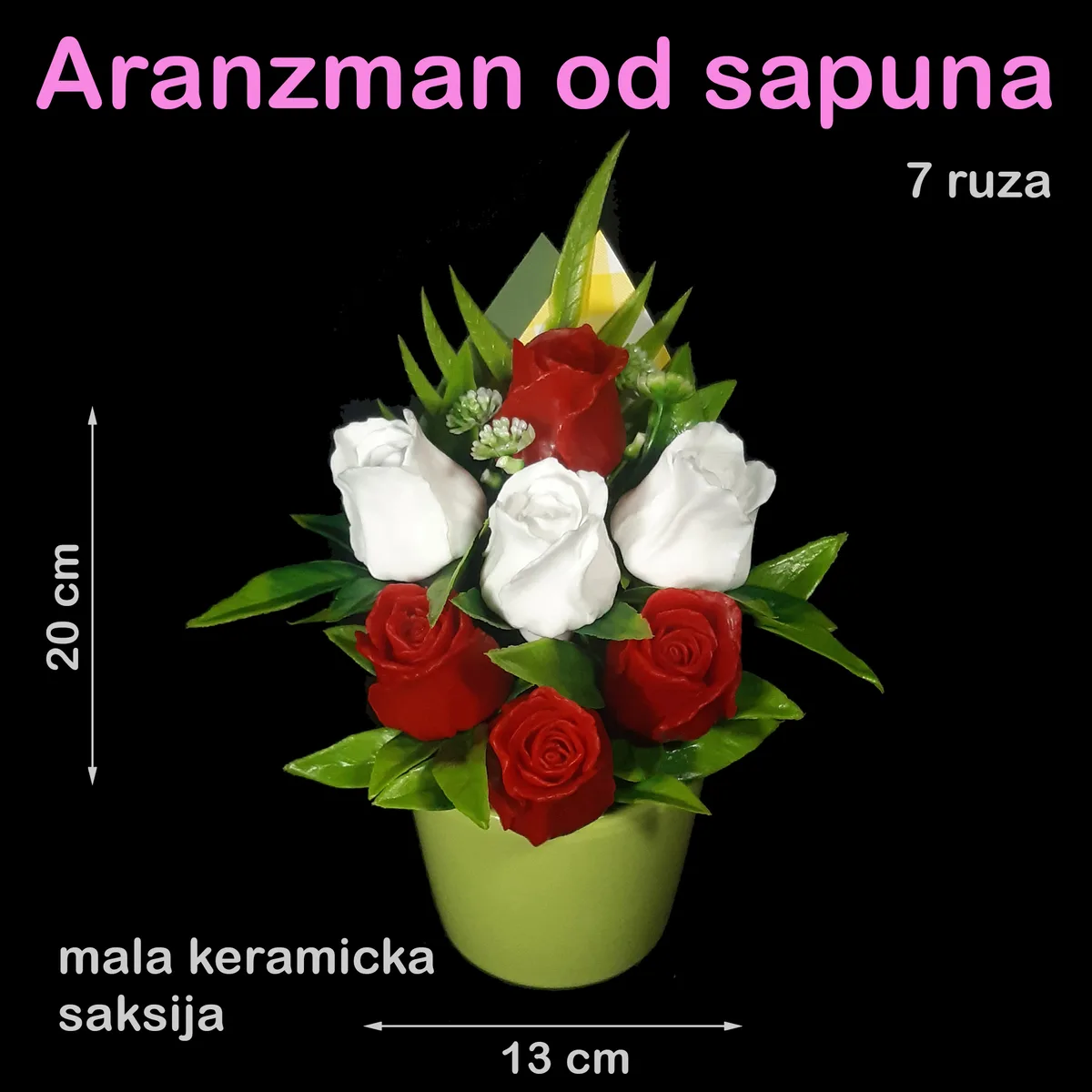 Crvene i bele ruže u maloj keramičkoj saksiji