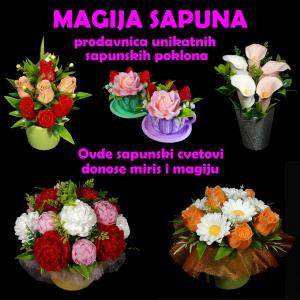 Katalog