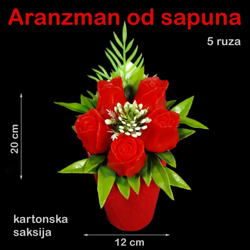 5 crvenih ruža u kartonskoj saksiji