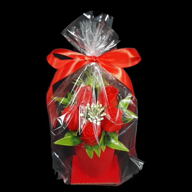 5 crvenih ruža u kartonskoj saksiji