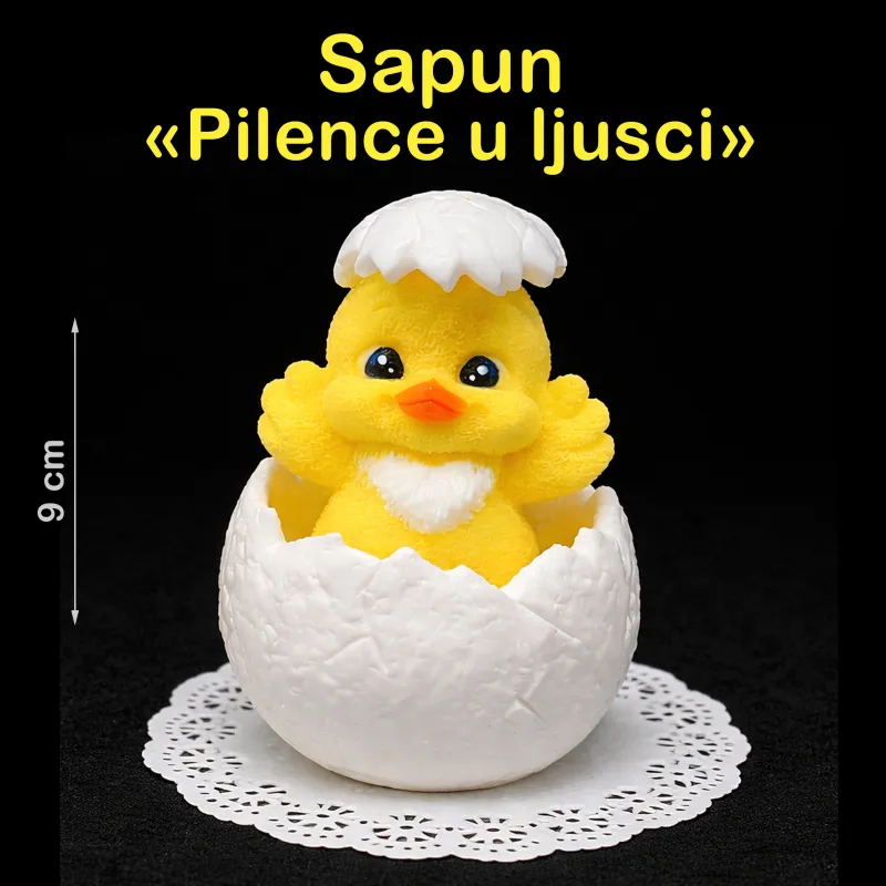 Pilić koji je upravo izašao iz jajeta