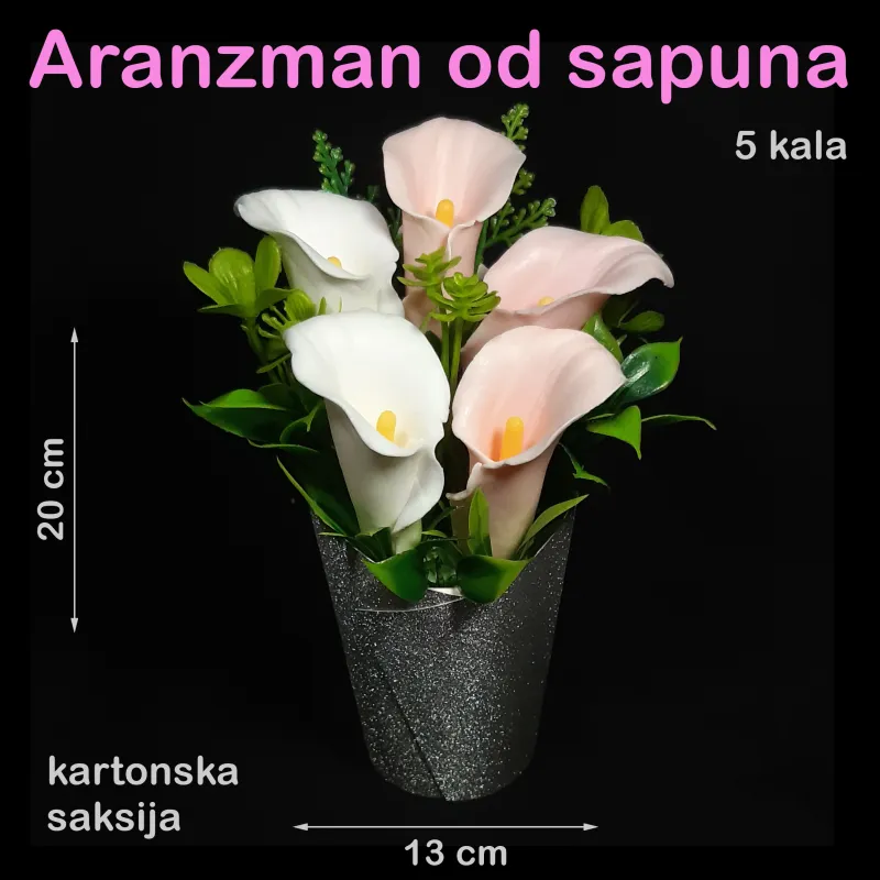 5 kala u kartonskoj saksiji