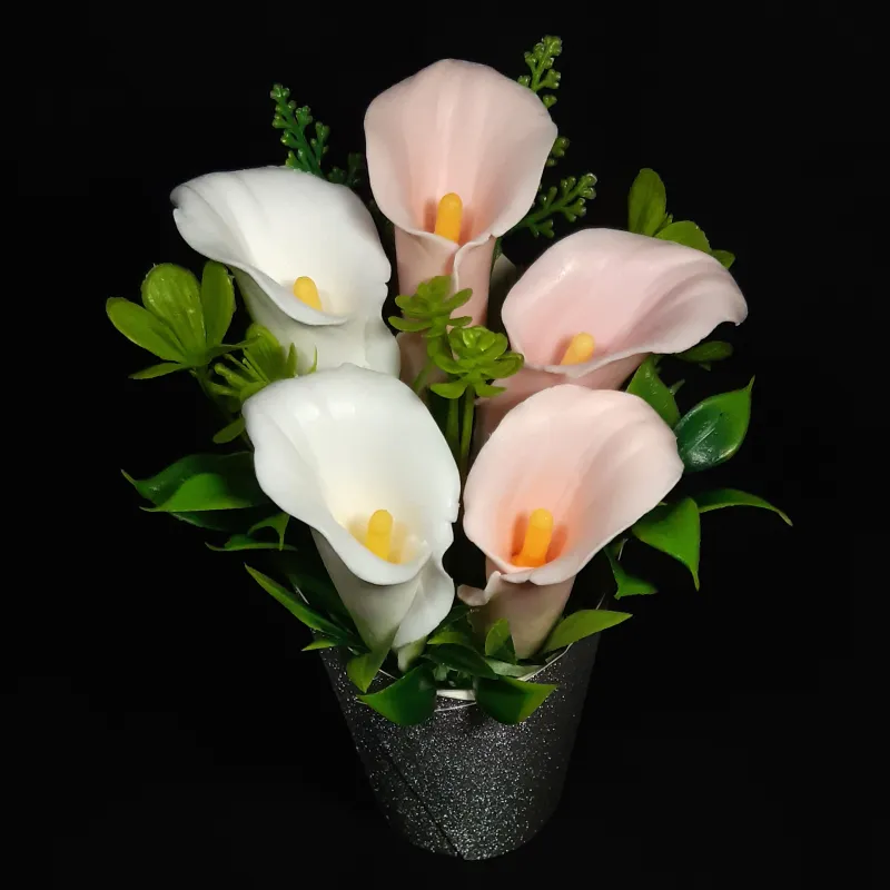 5 kala u kartonskoj saksiji