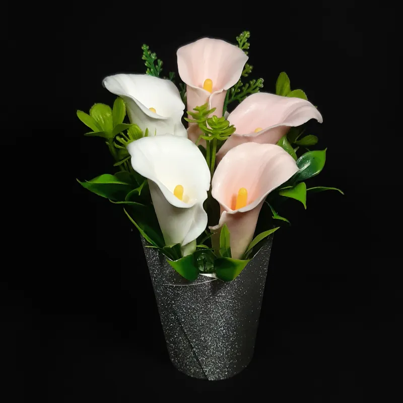 5 kala u kartonskoj saksiji