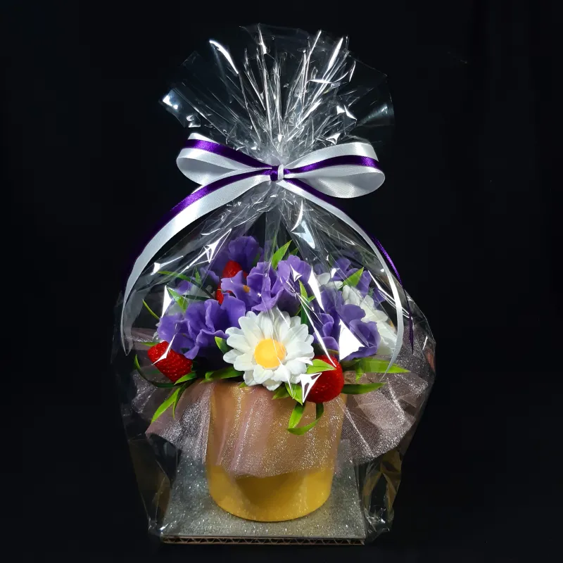 Irisi, rade i jagode od sapuna u keramičkoj saksiji