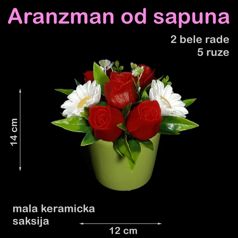 Crvene ruže i bele rade u maloj keramičkoj saksiji