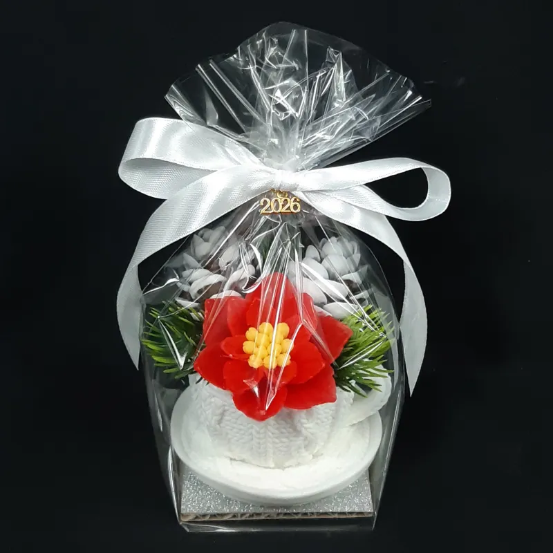 Bela šolja sa crvenom božičnom zvezdom i šišarkama