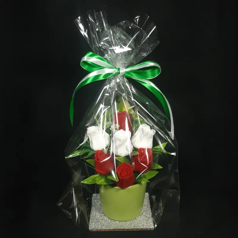 Crvene i bele ruže u maloj keramičkoj saksiji