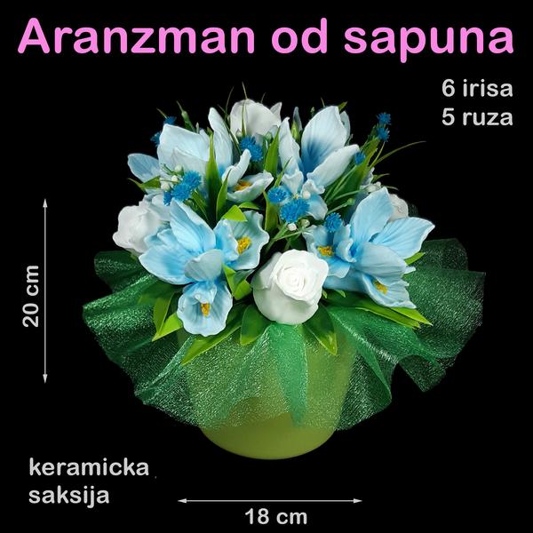 Plavi irisi i bele ruže u keramičkoj saksiji