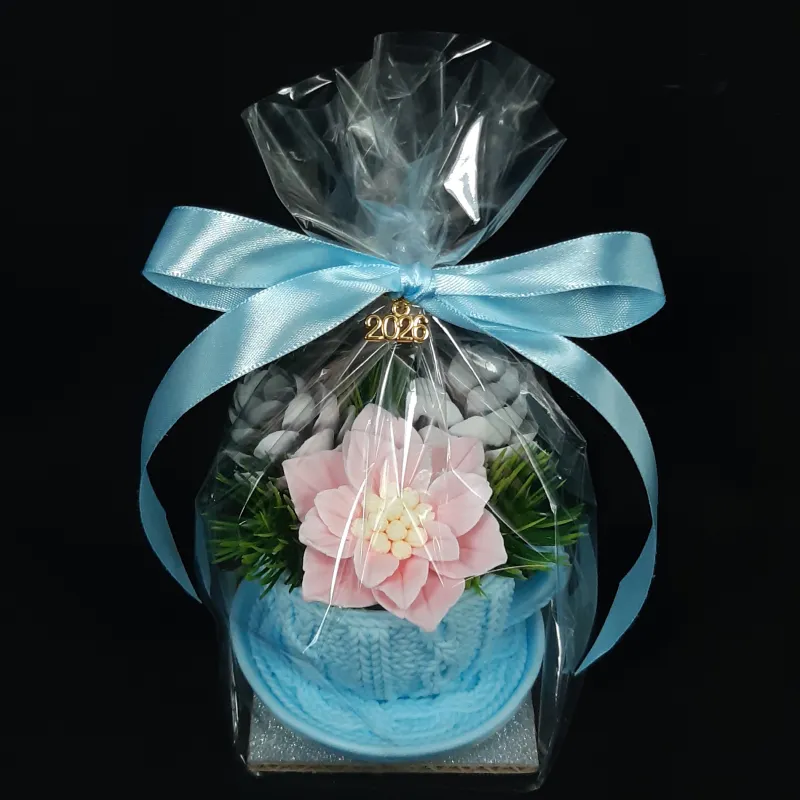 Plava šolja sa božičnom zvezdom i šišarkama