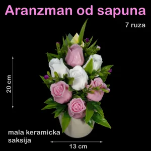 Ruzicaste_i_bele_ruze_u_maloj_keramickoj_sakciji_0.jpg