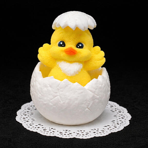 Pilić koji je upravo izašao iz jajeta